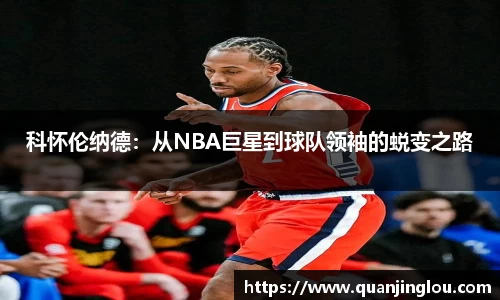 智博19有限公司